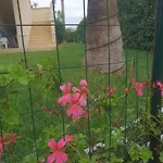 Kalos In Marinagri * פוליקורו