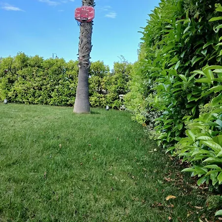 Kalos In Marinagri